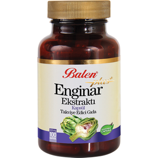 Enginar Plus