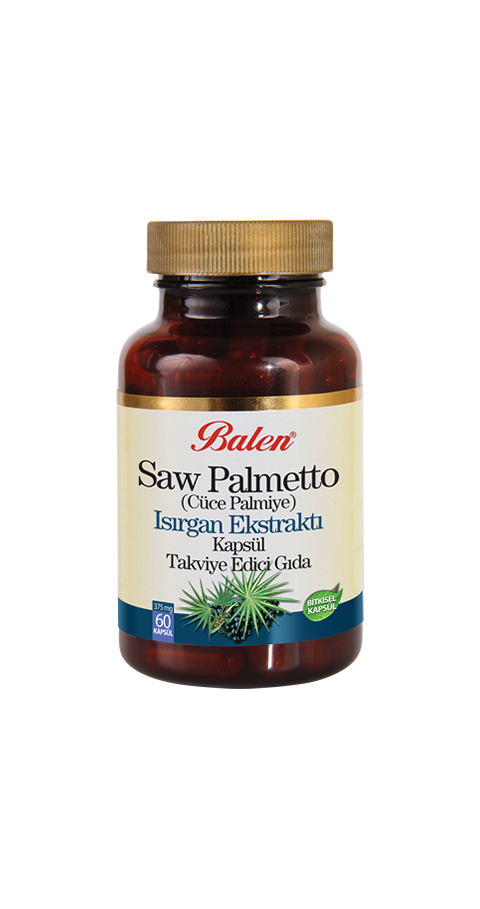 Saw Palmetto